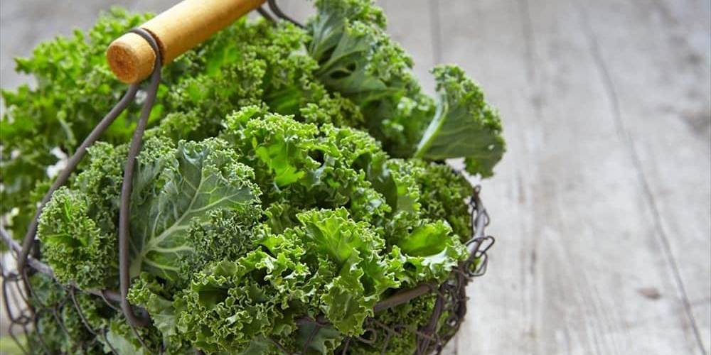Kale: Λαχανικό Σούπερσταρ